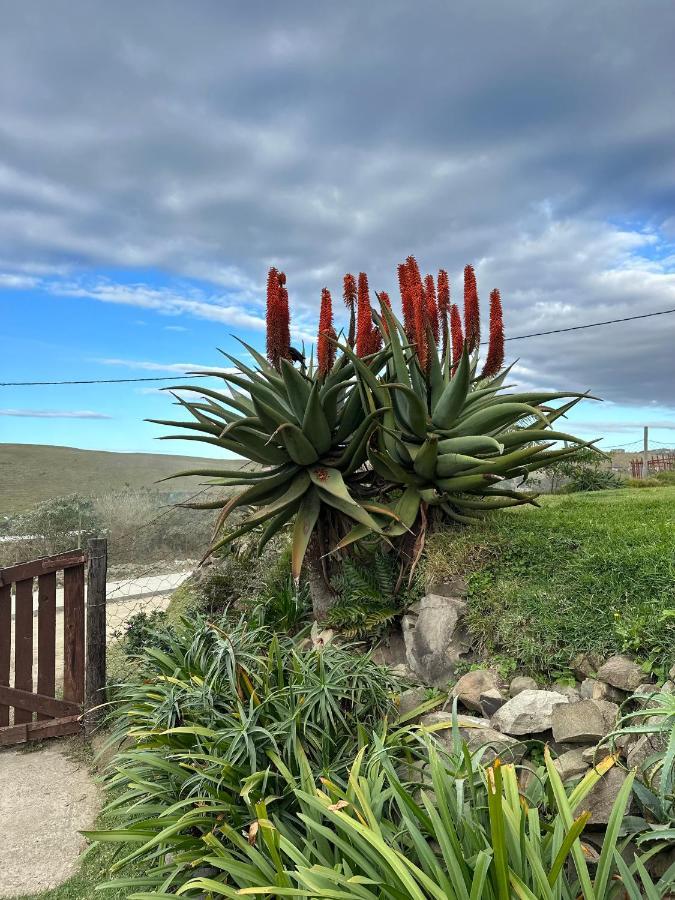 Coram Deo Saltywaves Double En-Suite Rooms With Sea Views Coffee Bay Exterior photo
